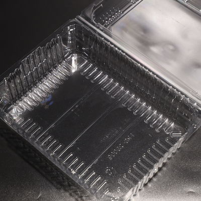 quality  Leak Proof Plastic Food Container Disposable PET Plastic Container For Food Packaging factory
