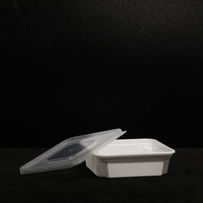 Snap On Lid Disposable Lunch Box For Convenient Food Packing