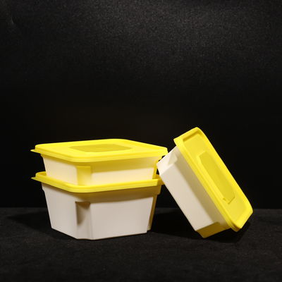 Customized Colored Lid PP Plastic Lunch Box with Snap On Lid