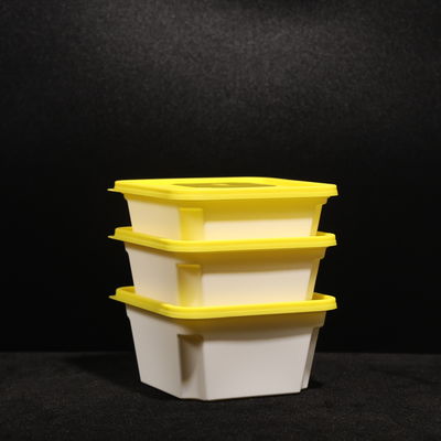 Eco Friendly Leakproof 450ml Plastic PP Lunch Box with Snap On Lid