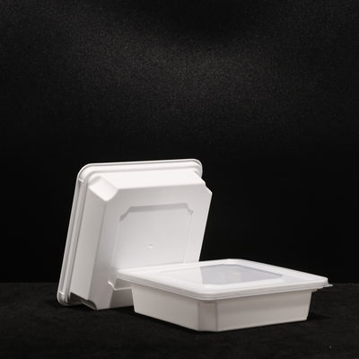 BPA Free PP Lunch Box 520ml Snap On Lid Plastic Food Packaging Box For Sandwich