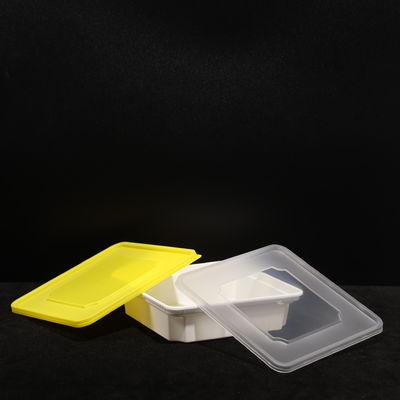 Eco Friendly 520ml Stackable PP Lunch Box For Cold And Hot Food Vegetable Fruit