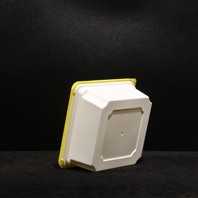 Leak Proof Fruit Packaging PP Lunch Box Fast Food Box  with 700ml Capacity and Custom Logo Printing