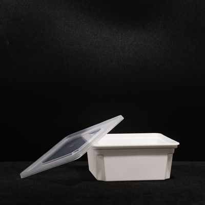 Customized PP Plastic Sandwich Lunch Box with Snap On Lid In Rectangular Shape