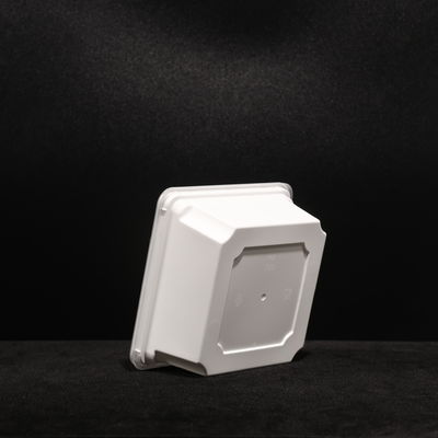 Customized PP Plastic Sandwich Lunch Box with Snap On Lid In Rectangular Shape