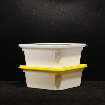 Disposable Leak Proof PP Lunch Box Customized For Hot Dog Packaging