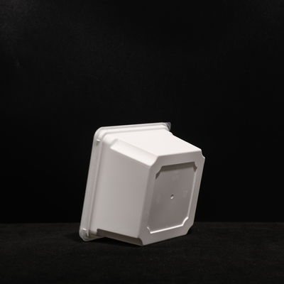 400 stuks Verpakking Qty PP Wegwerp lunchbox voor aangepaste verpakking