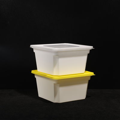 Leak Proof Custom Printed Food Grade Disposable Lunch Box Multipurpose Disposable Bento Box 1000pcs