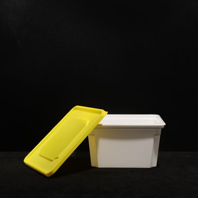 Multi Purpose Food Lunch Box With PP Material in Customizable Colors