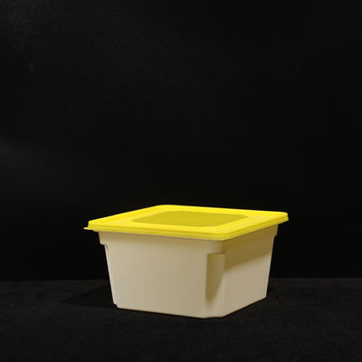 Multi Purpose Food Lunch Box With PP Material in Customizable Colors