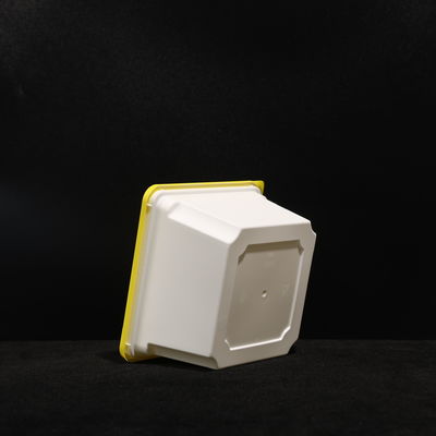 Rectangular Food Safe PP Lunch Box 1000ml Multi Purpose For Hot And Cold Food