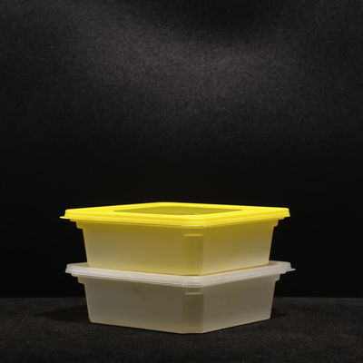 Multi Purpose PP Lunch Box Ramah Lingkungan Untuk Sandwich Dan Pengemasan Makanan Di Luar Ruang