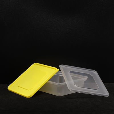 Multi Purpose PP Lunch Box Ramah Lingkungan Untuk Sandwich Dan Pengemasan Makanan Di Luar Ruang