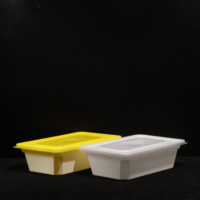 Snap On PP Plastic Lunch Box 750ML Capacity BPA Free Leak Proof