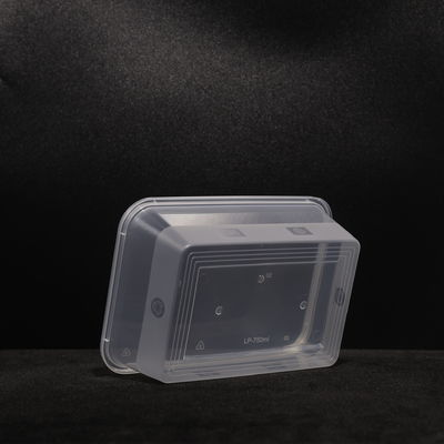 Eco Friendly Compostable Fast PP Lunch Food  Box  for Snack Sandwich Salad Fruit