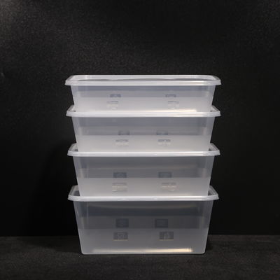 Eco Friendly Compostable Fast PP Lunch Food  Box  for Snack Sandwich Salad Fruit