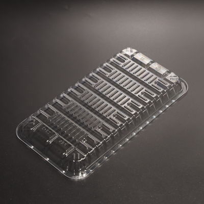 Disposable Plastic PET Plate Takeaway Convenient Food Container