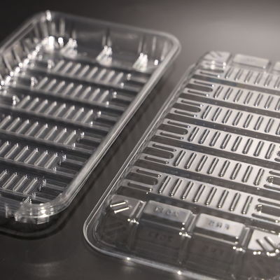 Takeaway Plastic Food Tray Rectangular Biodegradable Disposable Tray Customized Logo