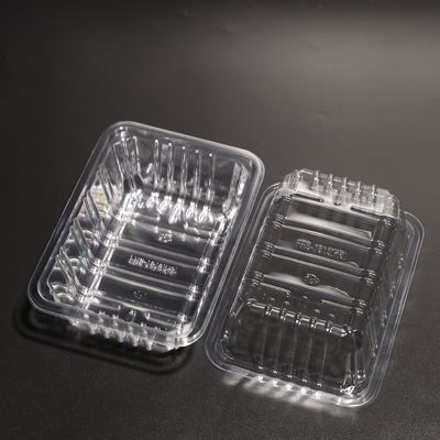 Customized Plastic PET Disposable Rectangular Food Tray