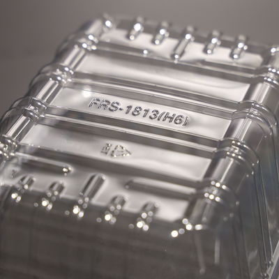 Customized Plastic PET Disposable Rectangular Food Tray