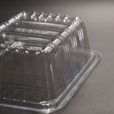 Customized Plastic PET Disposable Rectangular Food Tray