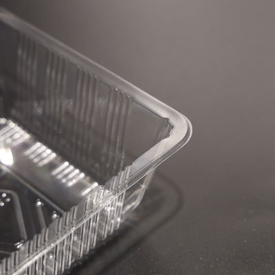 Compostable Plastic Food Plates Disposable Meal Packaging Tray BPA Free