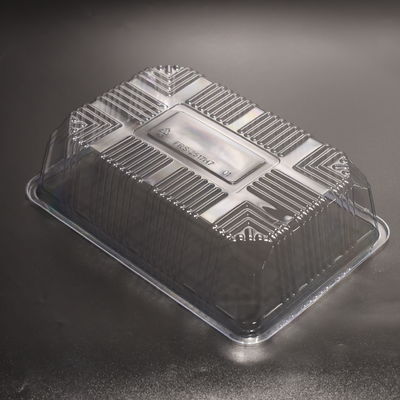 Clear Plastic Food Serving Tray for Fresh Vegetable Fruit
