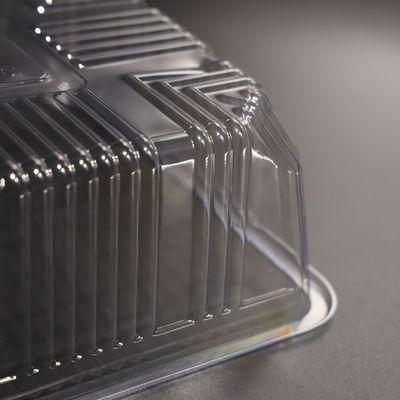 OEM/ODM Rectangular Disposable BPA Free Plastic Food Tray For Takeaway Food