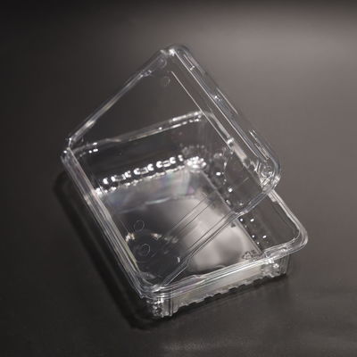 Clear PET Plastic Food Storage Containers with Lids