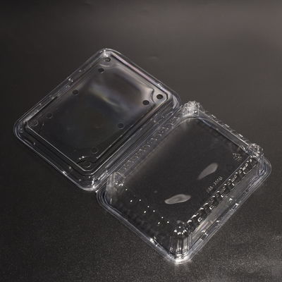Leak Proof Clear Plastic PET Container Food Storage Container for Fruit