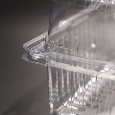 Multi Purpose Plastic Food Container Disposable Takeaway Food Containers With Lids