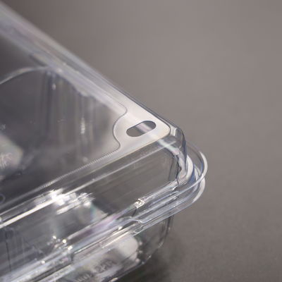 Chất chứa thực phẩm PET 4 khoang với nắp cho trái cây và rau tươi