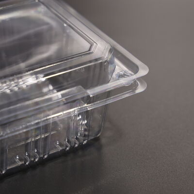 Food Storage Containers Disposable Eco-Friendly Packaging Perfect for Food Delivery Catering and Restaurant