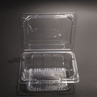 Food Storage Containers Disposable Eco-Friendly Packaging Perfect for Food Delivery Catering and Restaurant