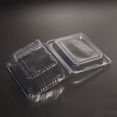 Food Storage Containers Disposable Eco-Friendly Packaging Perfect for Food Delivery Catering and Restaurant